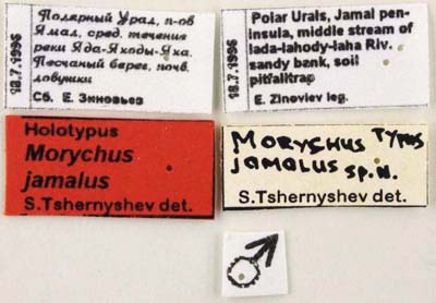 Holotype labels, color image