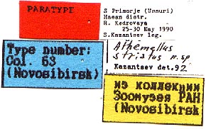 Paratype labels, color image