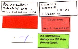 Holotype labels, color image