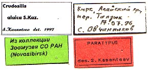 Paratype labels, color image