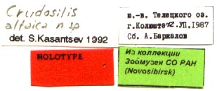 Holotype labels, color image