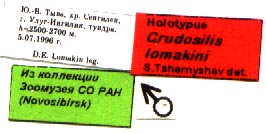 Holotype labels, color image