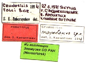 Paratype labels, color image