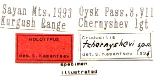 Holotype label, color image