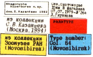 Paratype labels, color image