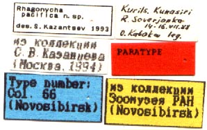 Paratype labels, color image