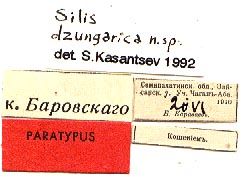 Paratype labels, color image