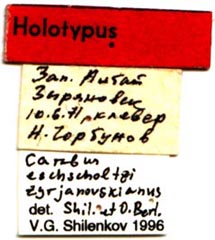 Holotype labels, color image