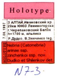 Holotype labels, color image