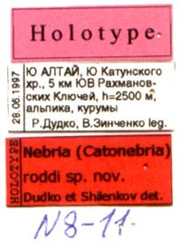 Holotype labels, color image