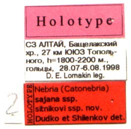 Holotype labels, color image