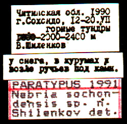 Paratype labels, color image