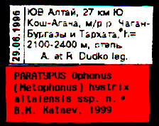 Paratype labels, color image