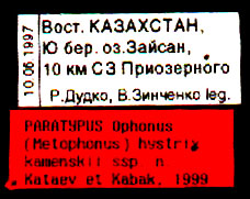 Paratype labels, color image