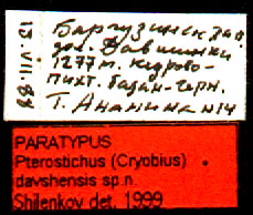 Paratype labels, color image