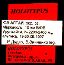 Holotype labels, color image