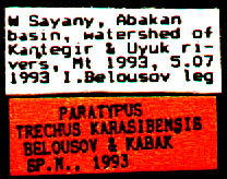 Paratype labels, color image