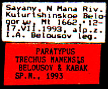 Paratype labels, color image