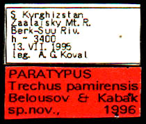 Paratype labels, color image