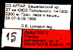 Paratype labels, color image