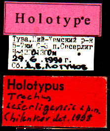 Holotype labels, color image