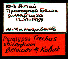 Paratype labels, color image