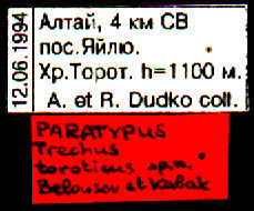 Paratype labels, color image