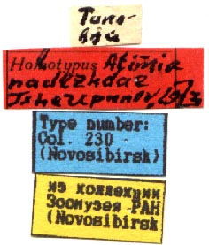 Holotype labels, color image