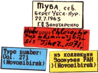 Holotype labels, color image