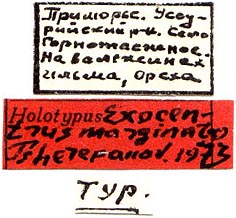 Holotype labels, color image