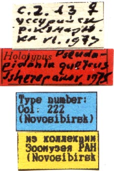 Holotype labels, color image