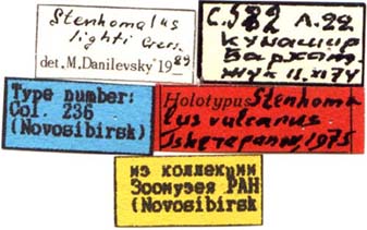 Holotype labels, color image