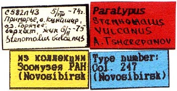 Paratype labels, color image