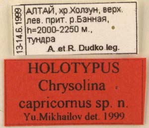 Holotype label, color image