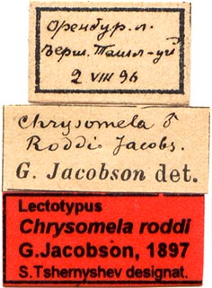 Lectotype labels, color image