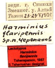 Lectotype labels, color image