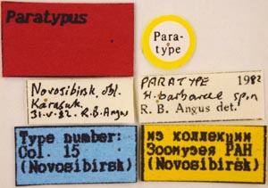 Paratype label, color image