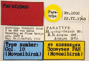 Paratype label, color image