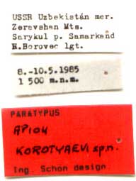 Paratype labels, color image