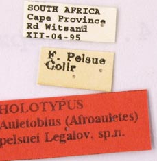 Holotype labels, color image