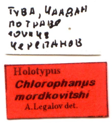 Holotype labels, color image