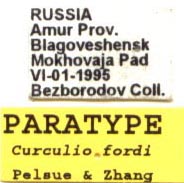 Paratype labels, color image