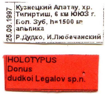 Holotype labels, color image