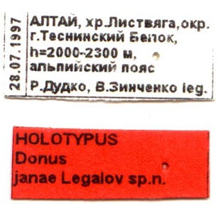 Holotype labels, color image