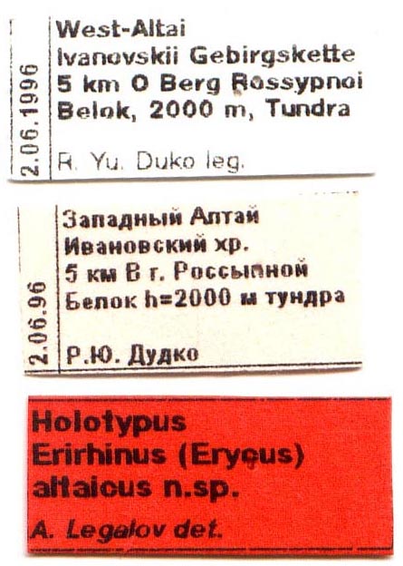 Holotype labels, color image