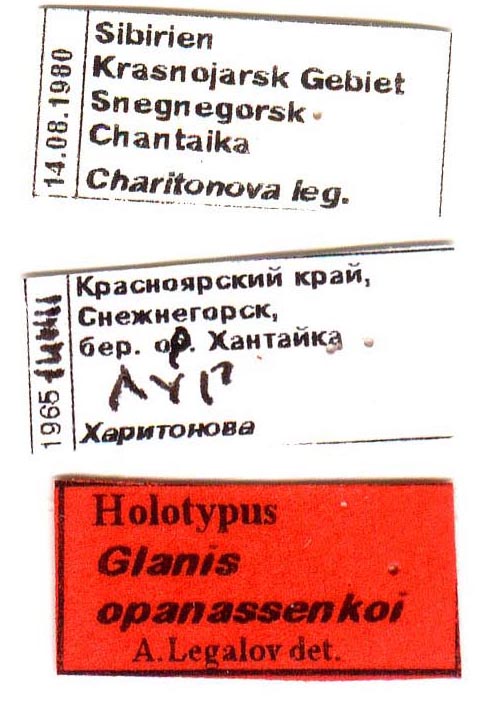 Holotype labels, color image