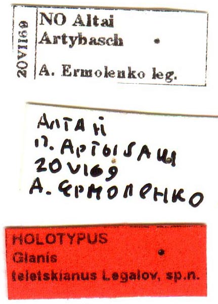 Holotype labels, color image