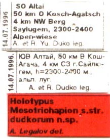 Holotype labels, color image