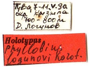 Holotype labels, color image