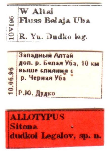 Allotype labels, color image